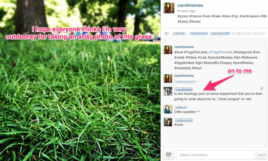 Grass